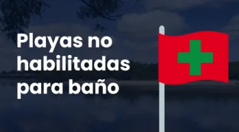 agregar descripción de la imagen