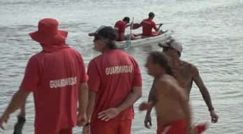 agregar descripción de la imagen