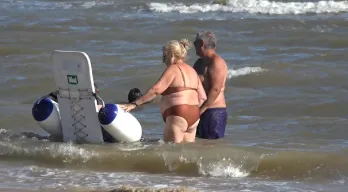 agregar descripción de la imagen