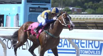 agregar descripción de la imagen