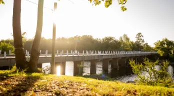 agregar descripción de la imagen