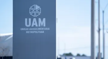 agregar descripción de la imagen