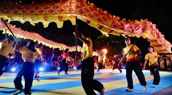 agregar descripción de la imagen