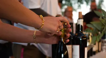 agregar descripción de la imagen