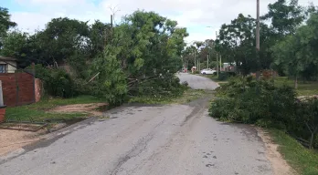 agregar descripción de la imagen