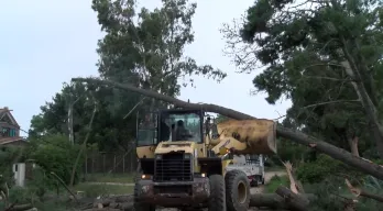 agregar descripción de la imagen