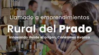 agregar descripción de la imagen