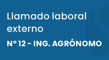 agregar descripción de la imagen