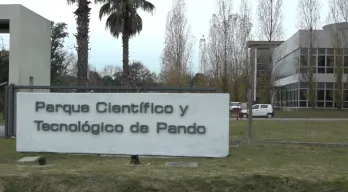 agregar descripción de la imagen