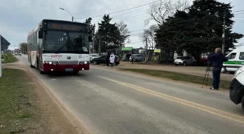 agregar descripción de la imagen
