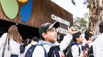 agregar descripción de la imagen