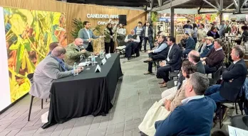 agregar descripción de la imagen