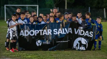 agregar descripción de la imagen