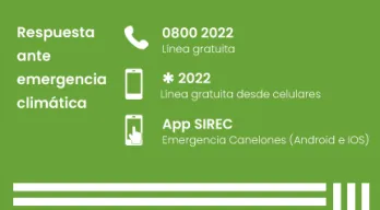 agregar descripción de la imagen