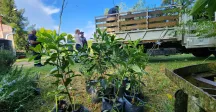 Intendencia de Canelones entrega árboles nativos a productores de la cuenca del río Santa Lucía