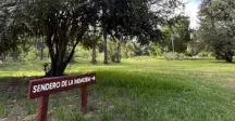 Nueva plantación de árboles en el Sendero de la Memoria del parque Roosevelt 