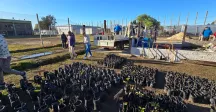 Convenio entre Intendencia de Canelones e INR permite avanzar en plantación de árboles para productores 