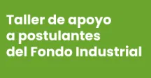 Taller de apoyo a postulantes del Fondo Industrial 