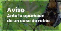 Aviso ante la  aparición de un caso de rabia 