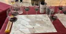 El Tannat canario volvió a brillar en Cataluña: Canelones destacó en la cata a ciegas del Festival MOST 