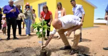 Personas plantando un árbol 