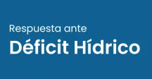 Respuesta ante déficit hídrico 