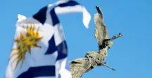 estatua y bandera 