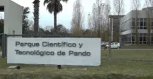 imagen de parque