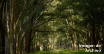 Imagen de archivo del Parque Roosevelt 